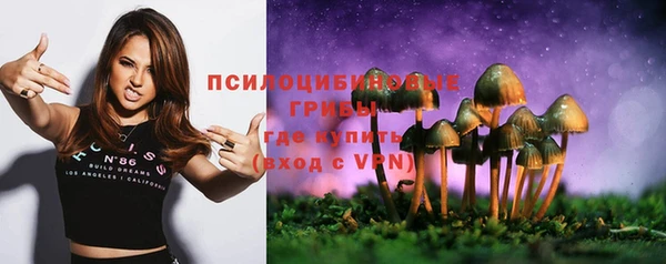 дживик Новодвинск