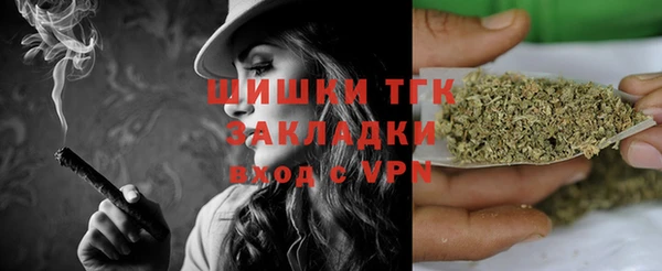 дживик Новодвинск