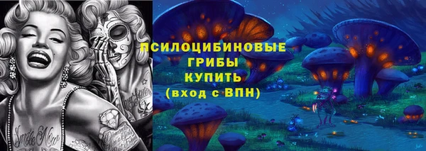 дживик Новодвинск
